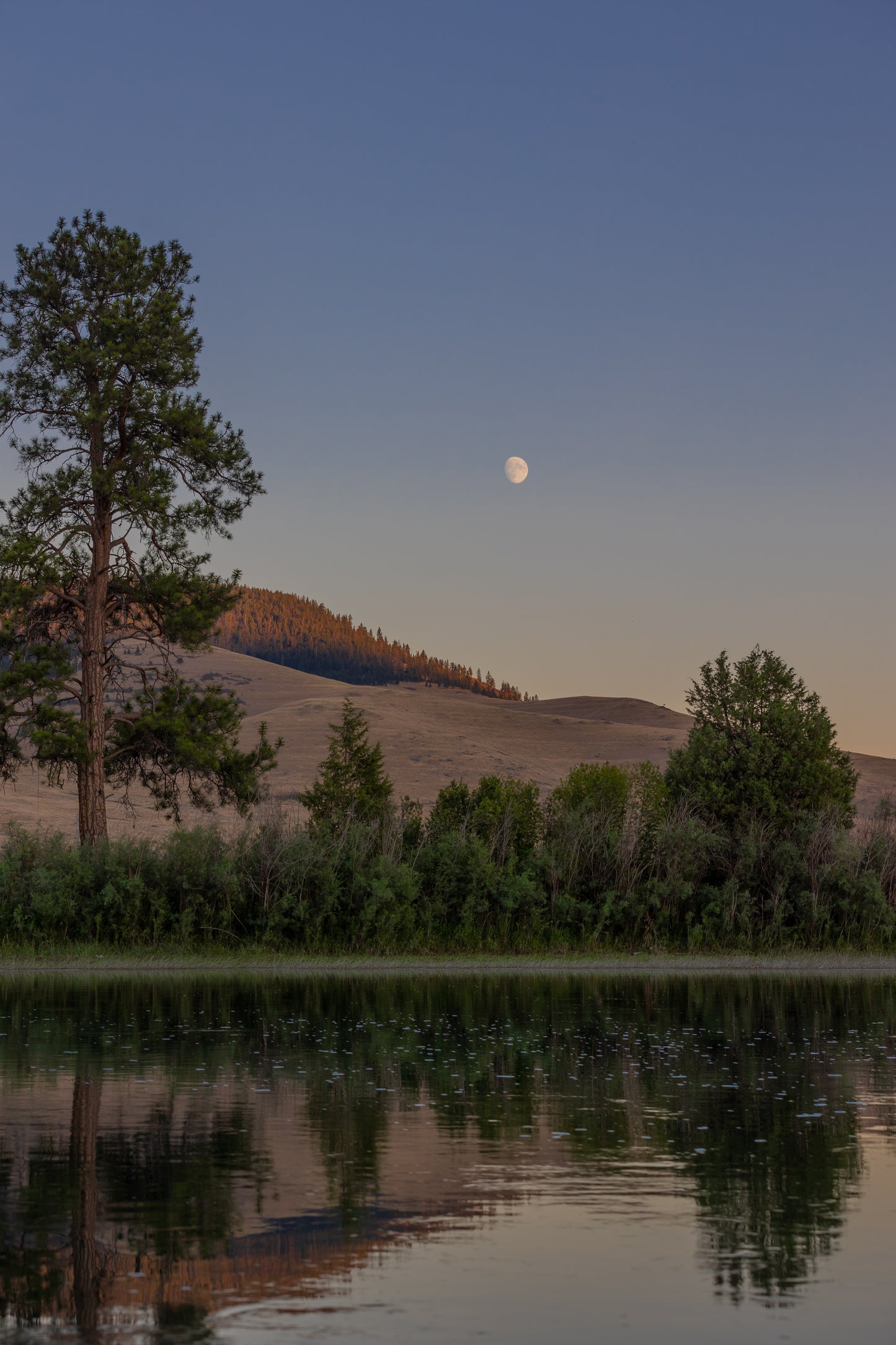 On the River - Canvas Print