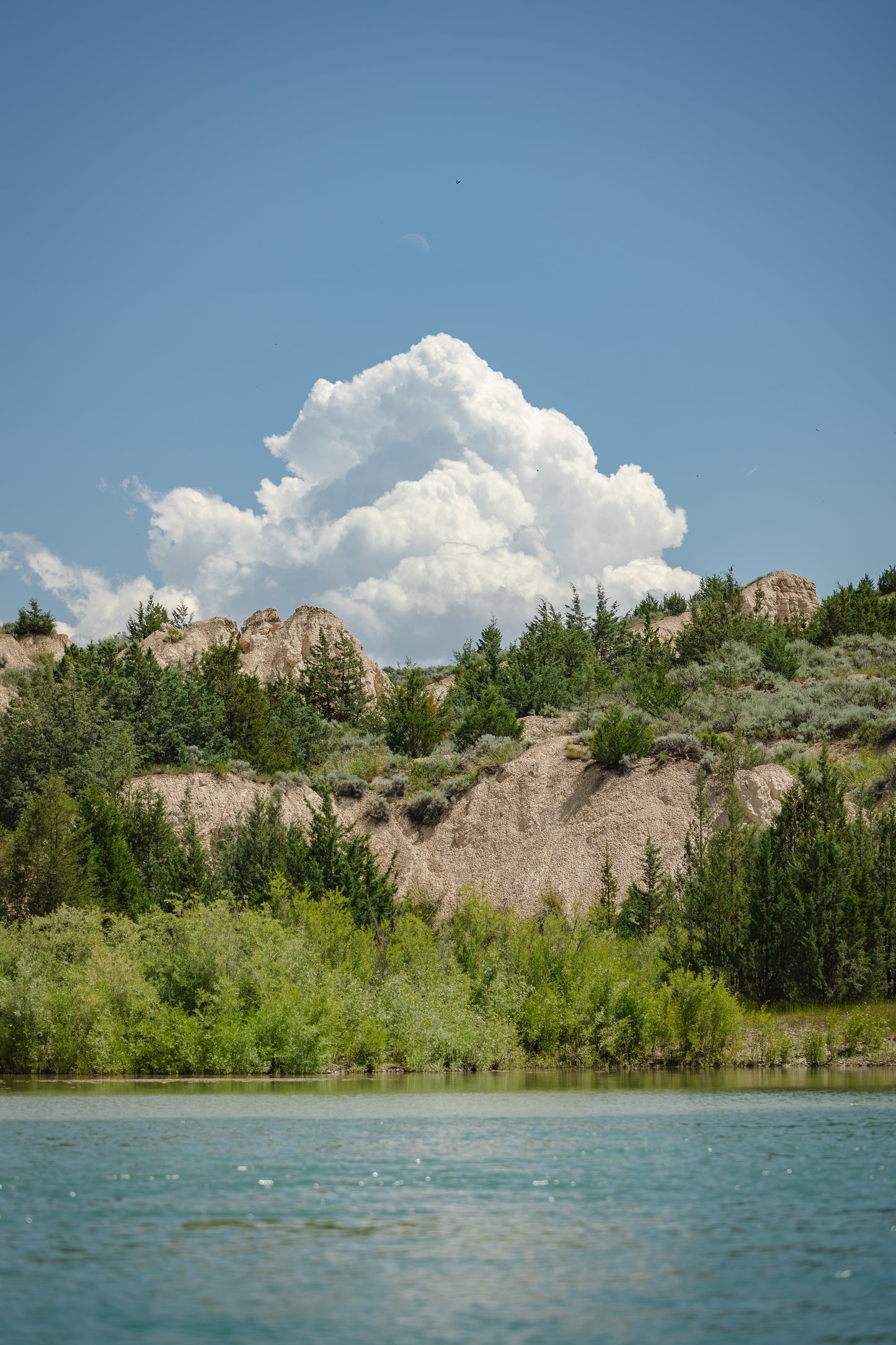 A Storm is Coming - Canvas Print