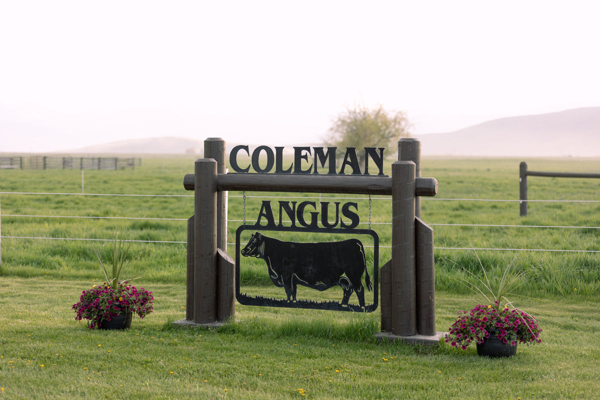 Coleman Angus
